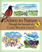 Keeping a Nature Journal, 3rd Edition: Deepen Your Connection with the  Natural World All Around You